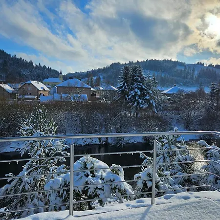 Kovox ゲストハウス Staskov